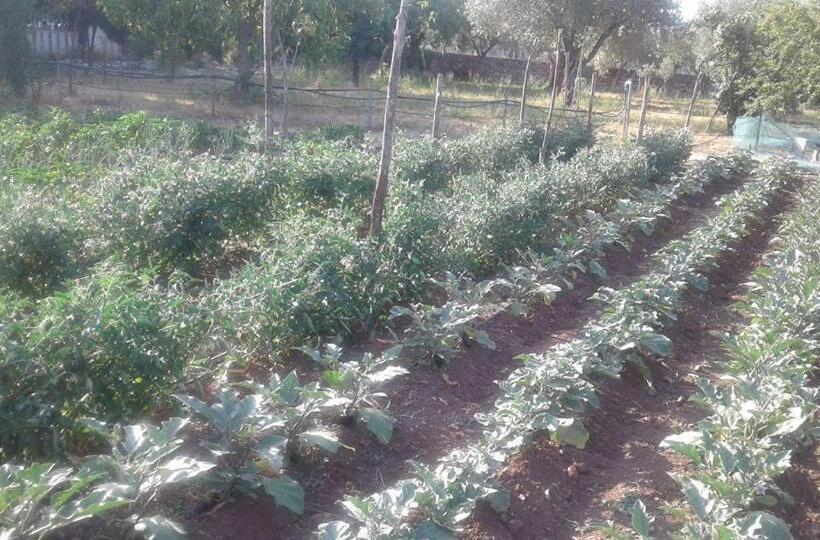 فندق Agriturismo Tre Santi