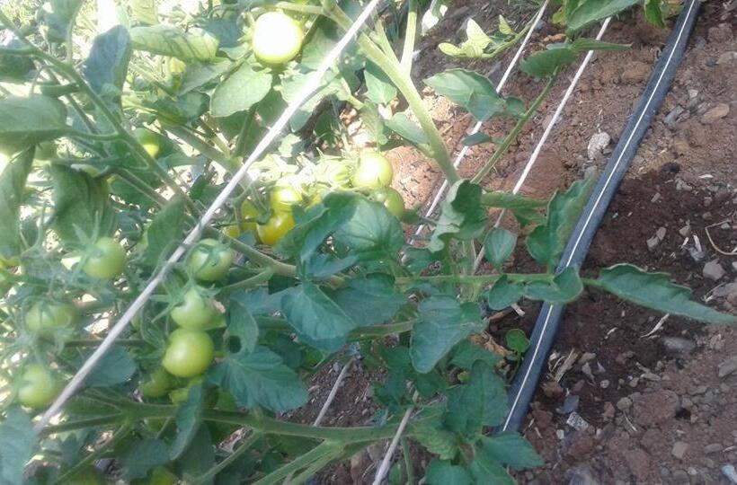 فندق Agriturismo Tre Santi