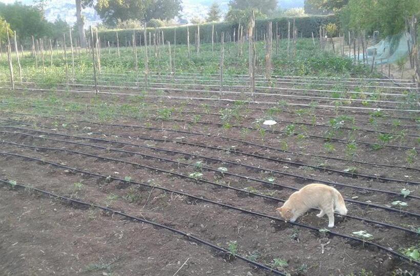 فندق Agriturismo Tre Santi