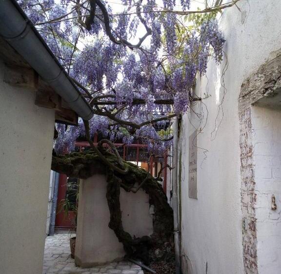 فندق Le Lion D Or