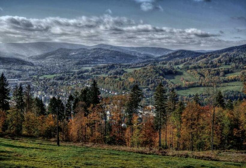 בית מלון כפרי M