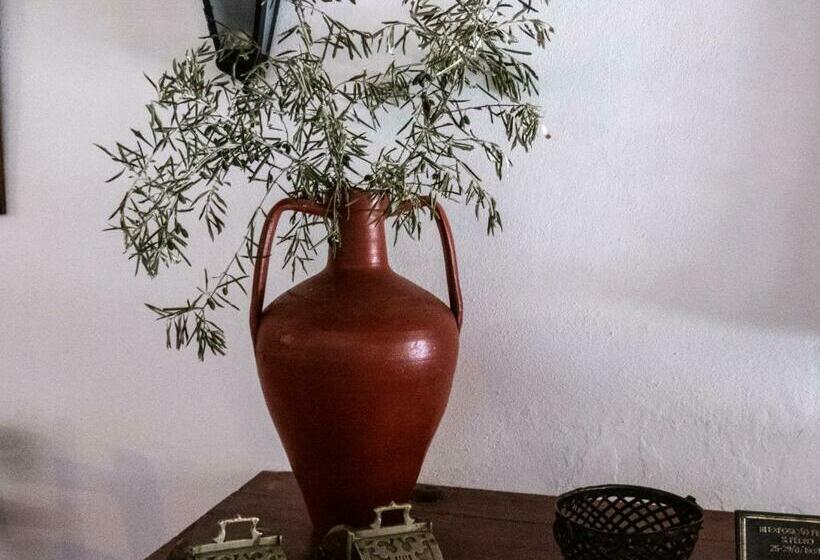 فندق Monte Das Oliveiras