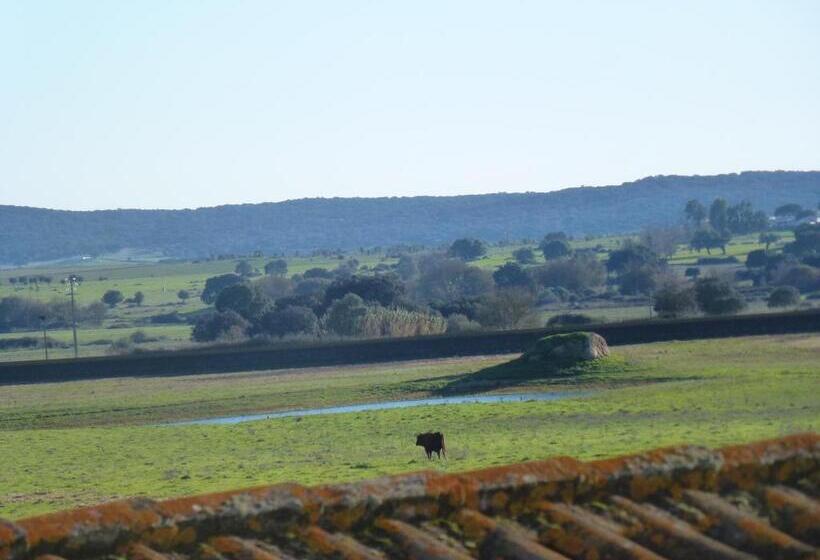 فندق Monte Das Oliveiras