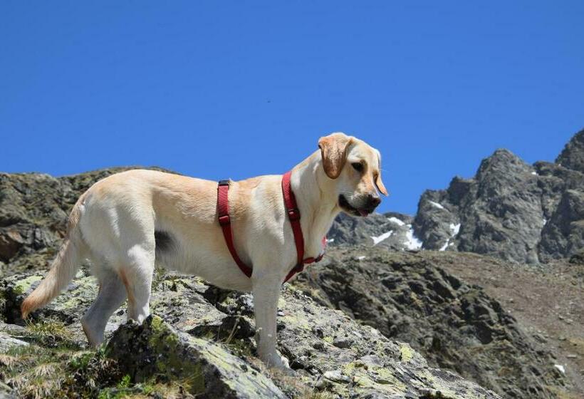 בית מלון כפרי Niederhaeusererhof