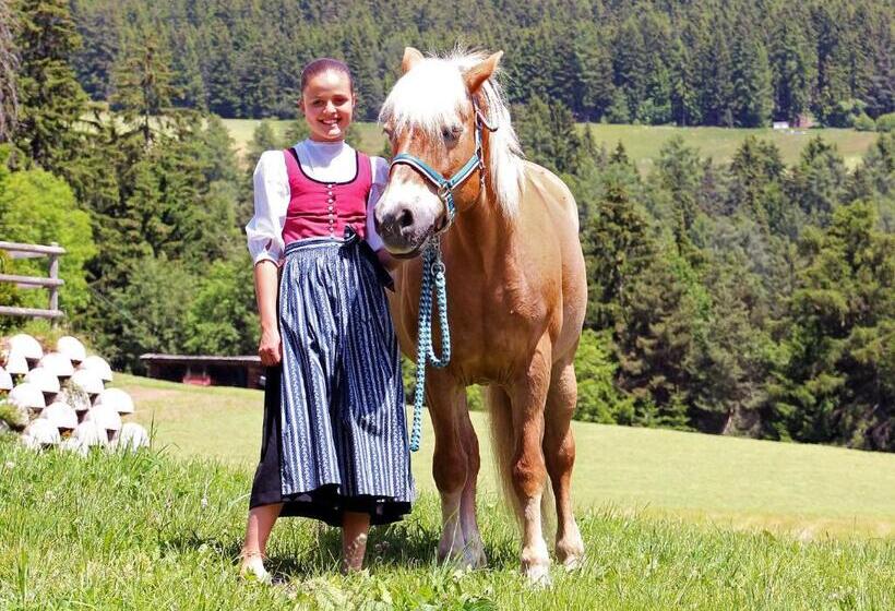 בית מלון כפרי Niederhaeusererhof