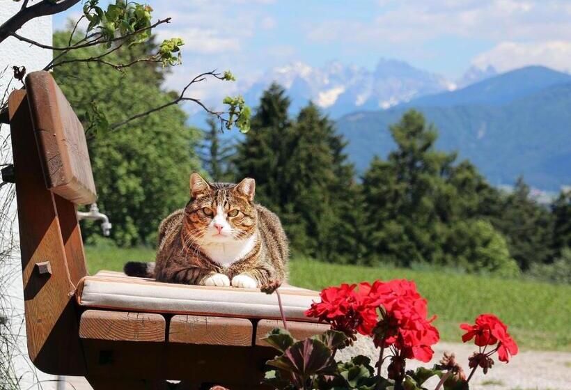 בית מלון כפרי Niederhaeusererhof