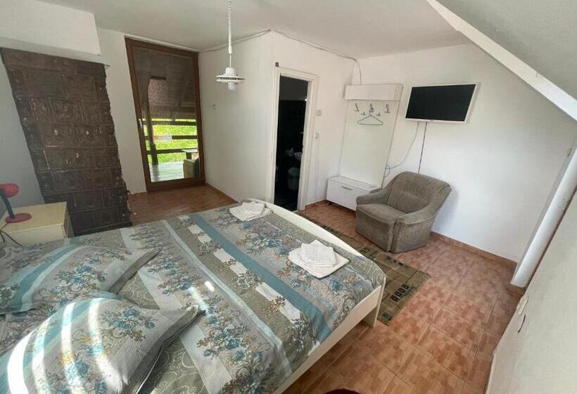 酒店 Pensiunea Dora Sasca