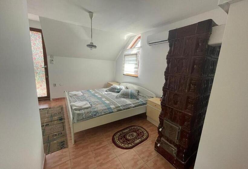 酒店 Pensiunea Dora Sasca