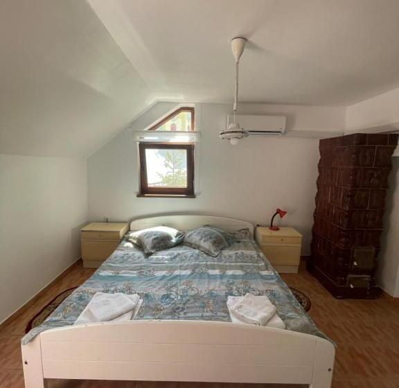 酒店 Pensiunea Dora Sasca