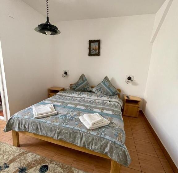 酒店 Pensiunea Dora Sasca