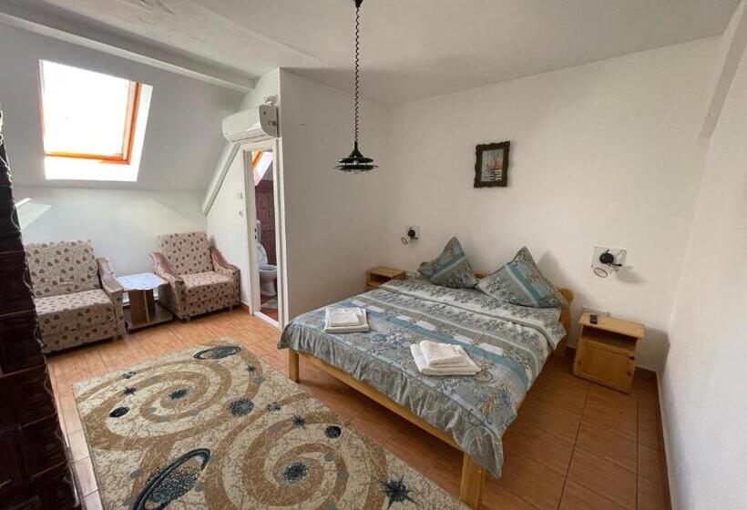 酒店 Pensiunea Dora Sasca