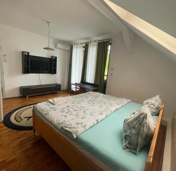 酒店 Pensiunea Dora Sasca