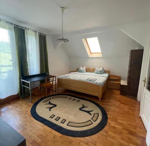 酒店 Pensiunea Dora Sasca