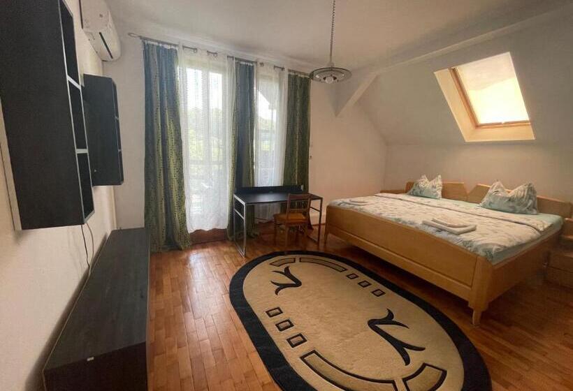 酒店 Pensiunea Dora Sasca