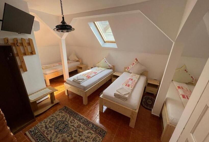 酒店 Pensiunea Dora Sasca