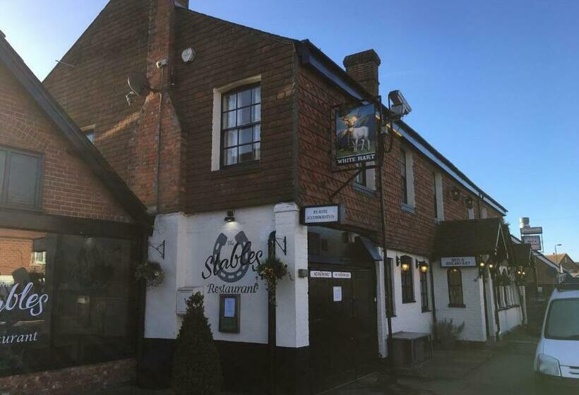 בית מלון כפרי The White Hart Pub And Rooms