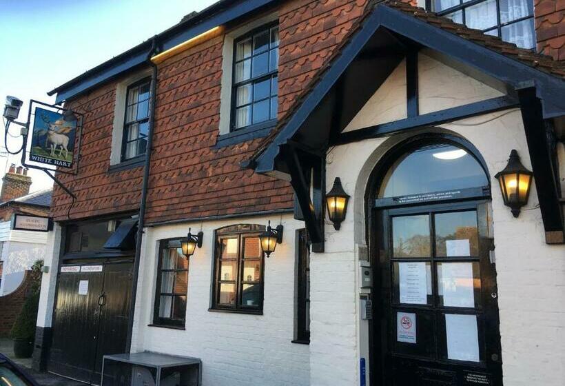בית מלון כפרי The White Hart Pub And Rooms
