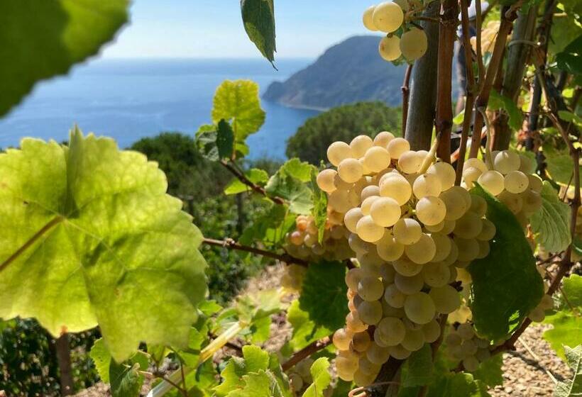 هتل Villa Pietrafiore