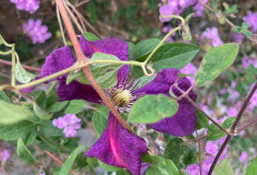 هتل Villa Pietrafiore