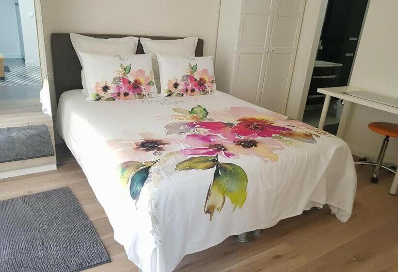 פנסיון 35m2   10 Min De Cdg   30 Min De Paris   10 Du Salon Expo Villepinte