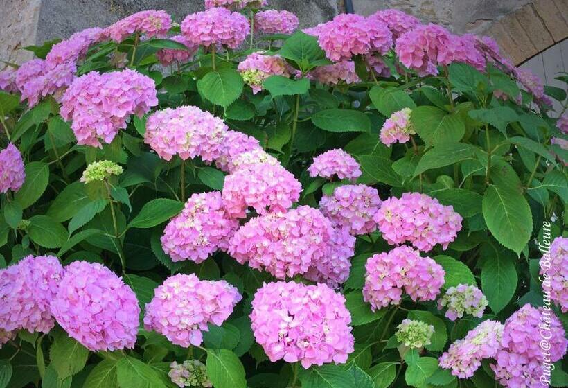 ペンション Chateau De Balleure