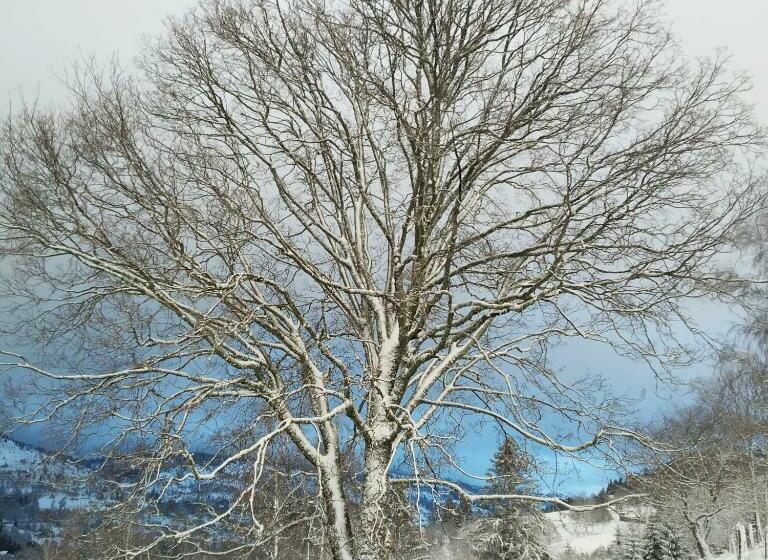 بنسيون La Ferme Sous Les Hiez