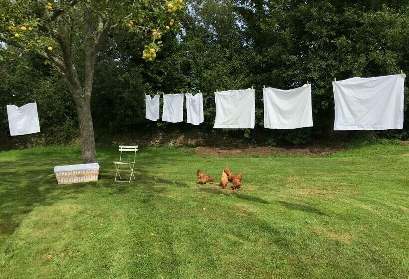 بنسيون Manoir Des Petites Bretonnes