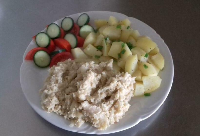 ペンション Penzion U Zeleného Stromu