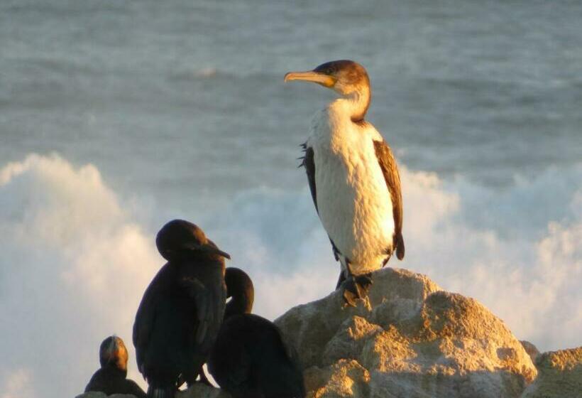 Пансион Sea Notes Guest House