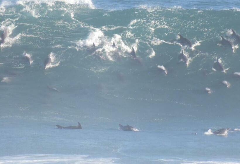 Пансион Sea Notes Guest House