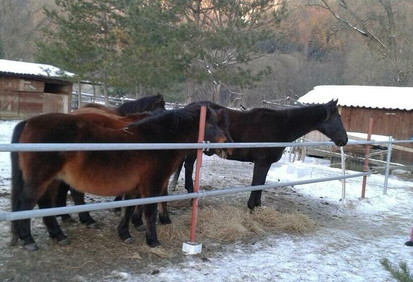 بنسيون Ubytovanie Sokolica