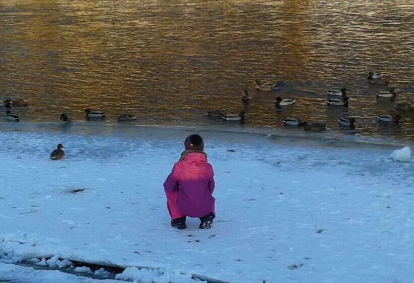 بنسيون Ubytovanie Sokolica