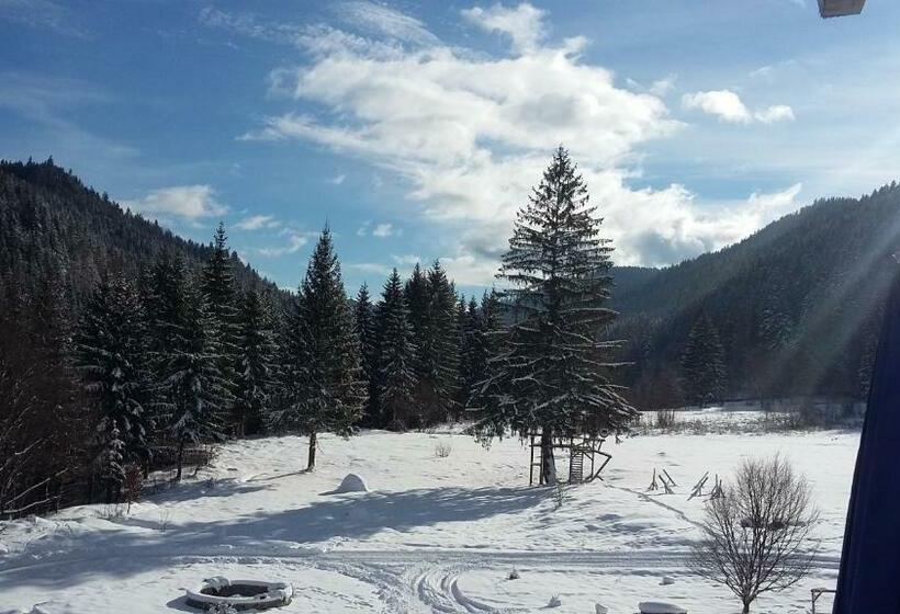 Pensiunea Poiana Soarelui