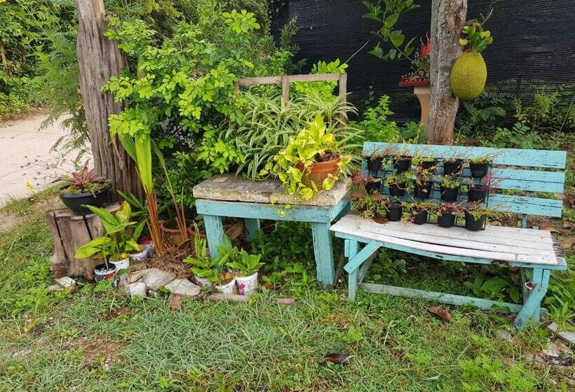 Resort Sida Homemade