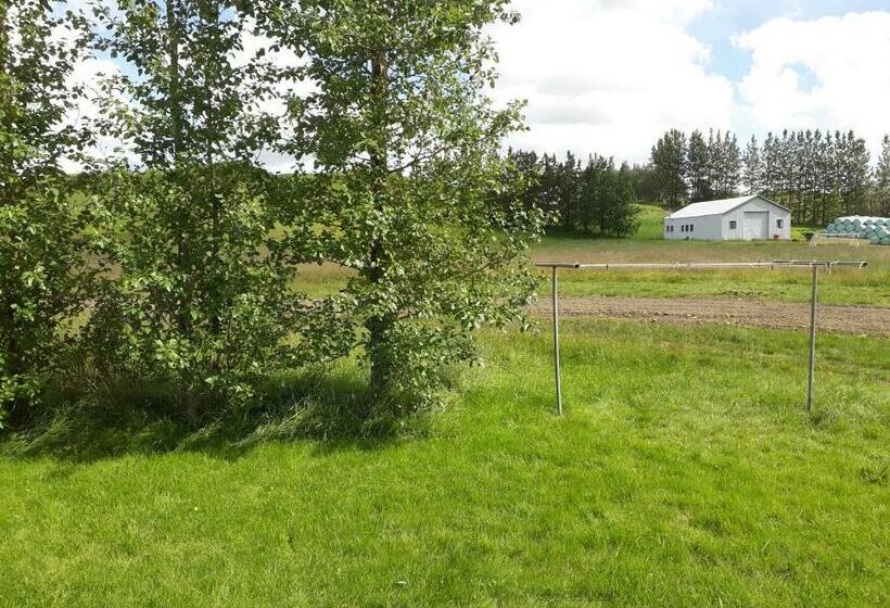 Skyggnir Bed And Breakfast