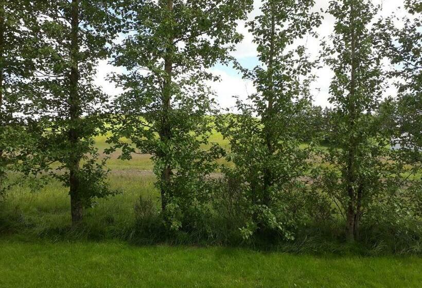 Skyggnir Bed And Breakfast