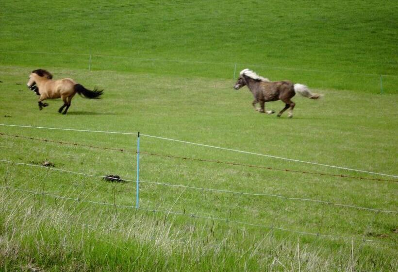 Skyggnir Bed And Breakfast