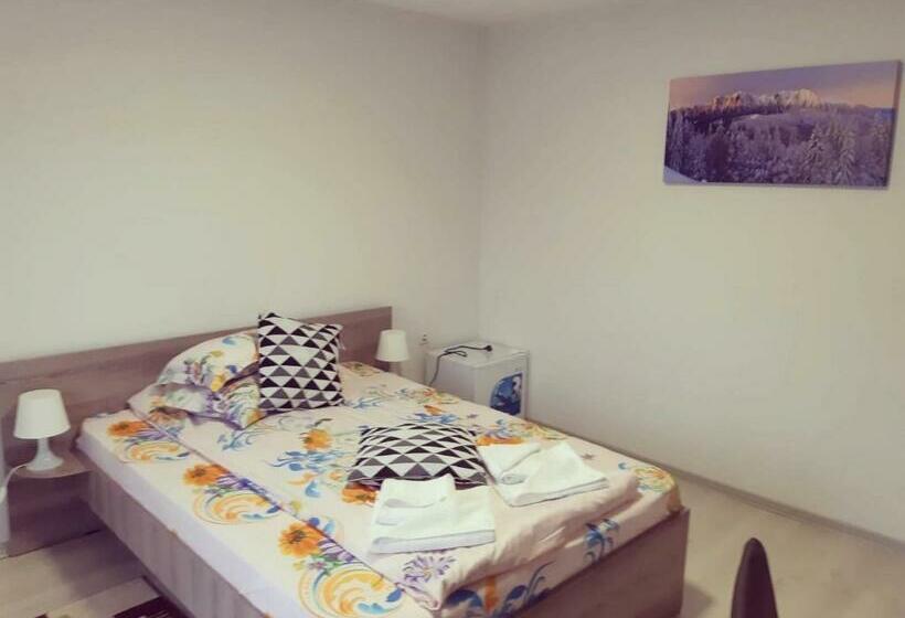 Общежитие Pensiunea La Gagea