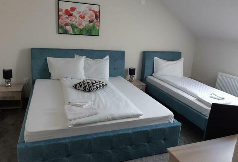 Общежитие Pensiunea La Gagea