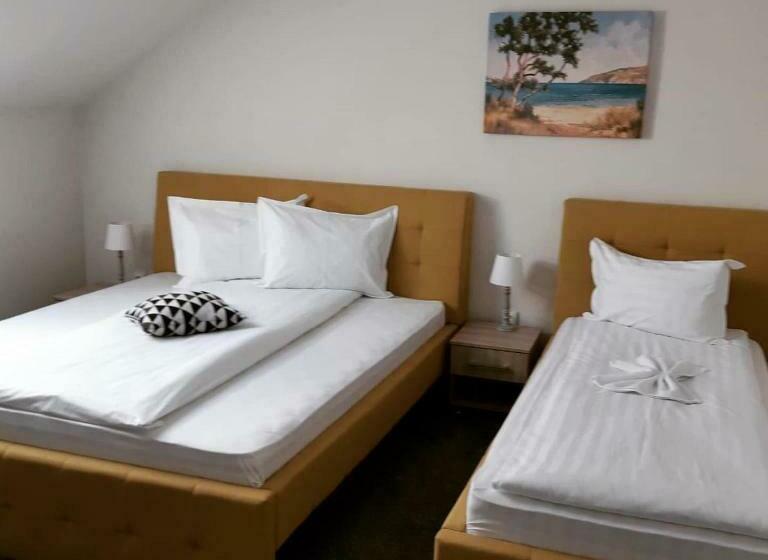 Общежитие Pensiunea La Gagea