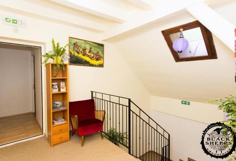 旅馆 Penzion Black Sheeps Adventures