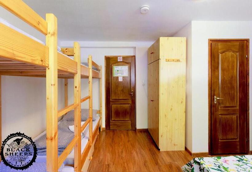 旅馆 Penzion Black Sheeps Adventures