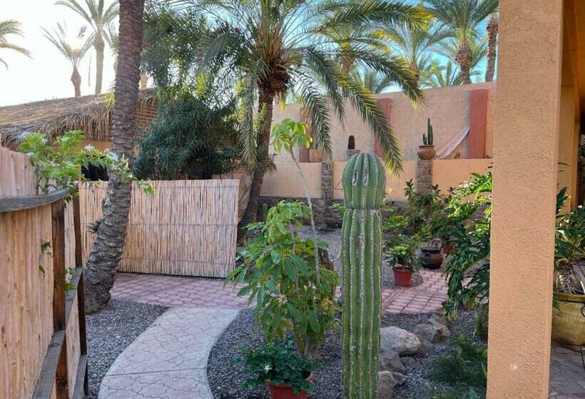 فندق صغير Sukasa Bungalows