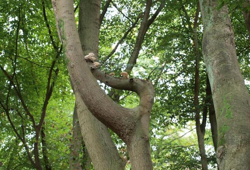 Bed and Breakfast Bed En   Of Zonder   Breakfast Putten