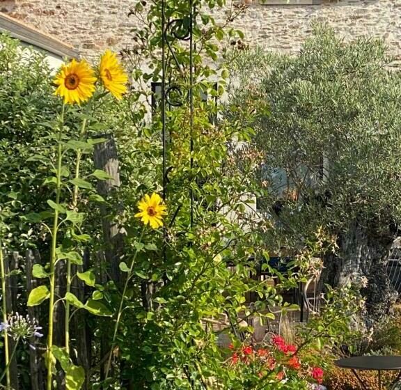 Bed and Breakfast Céline Et Olivier