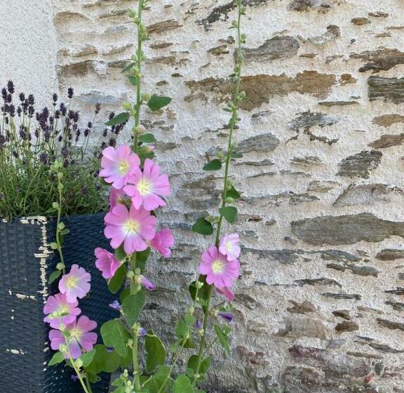 Bed and Breakfast Céline Et Olivier