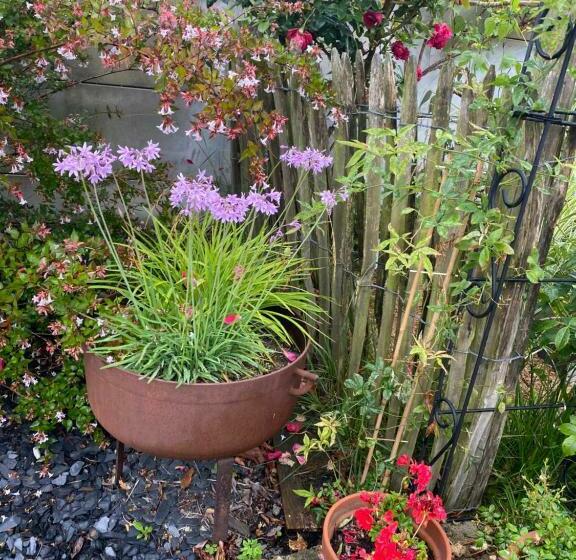 Bed and Breakfast Céline Et Olivier