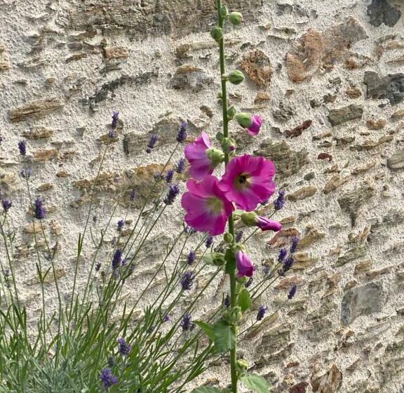 Bed and Breakfast Céline Et Olivier