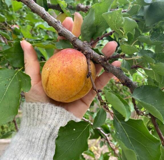 Bed and Breakfast Céline Et Olivier