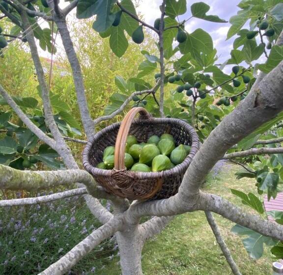 민박 Céline Et Olivier